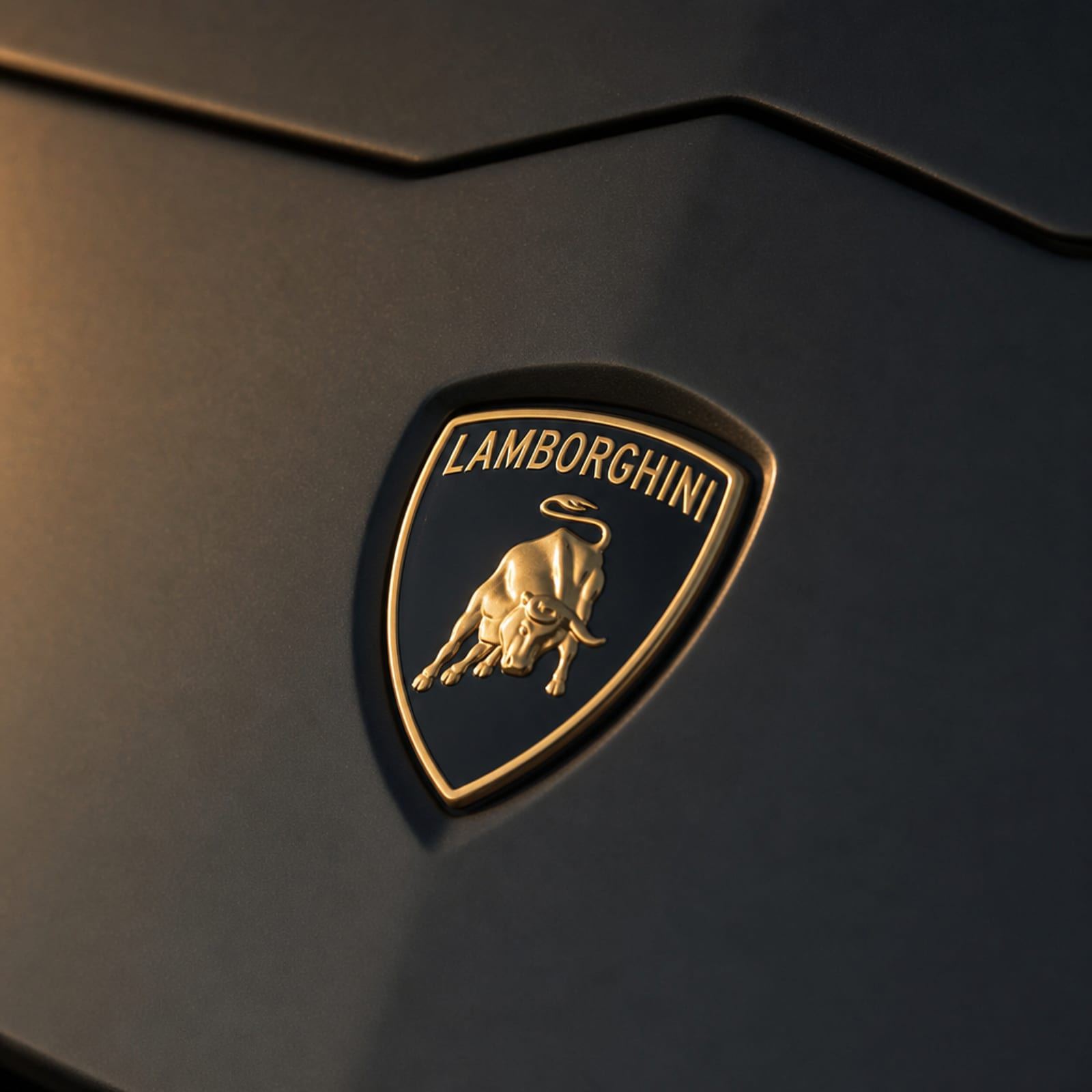 Black Lamborghini Urus 细节 2 温哥华豪车租赁